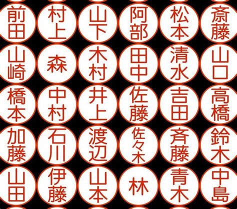 鶴嘴 苗字|「鶴嘴」という名字（苗字）の読み方は？レア度や由。